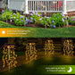 🌈 Solar Garden Lights Outdoor Decor