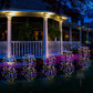 🌈 Solar Garden Lights Outdoor Decor
