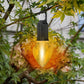 ✨ Hanging Camping Lantern – Vintage style, Type-C fast charge. 400mAh battery, soft glow. Use indoors or out. Great for DIY decor, fishing trips or patio ambiance. 🎣🏡