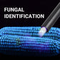 USB Rechargeable High-Power LED UV Light