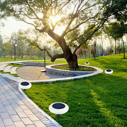 Outdoor Solar Sensor Lights for Garden & Lawn
