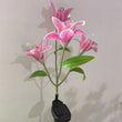 Solar-Powered Simulated Lily Lamp