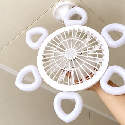 Quiet Ceiling Fan With Powerful Airflow And Light