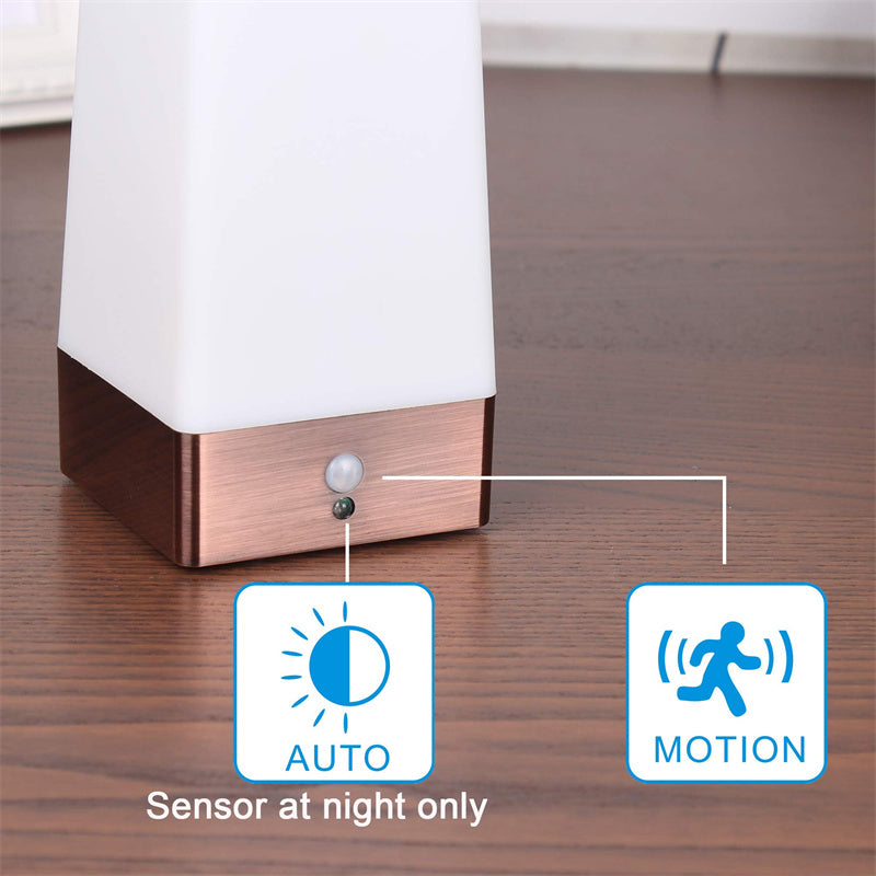 Wireless Motion Sensor LED Table Lamp