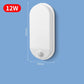 Motion Activated LED Wall Light
