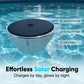 🌊🌞Solar Floating Pool Light with Fish Projection