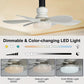 🔥2-IN-1 PORTABLE CEILING FAN & LIGHT with Remote Control
