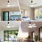🔥2-IN-1 PORTABLE CEILING FAN & LIGHT with Remote Control