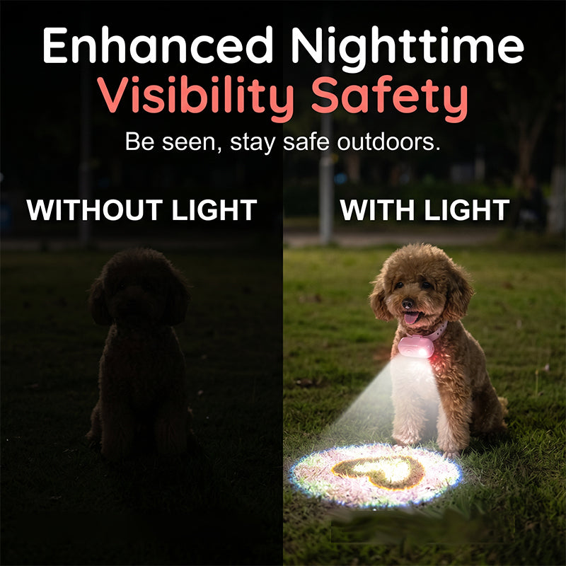 🐾Anti-Lost Pet Glow Collar Projector Light with Breed Patterns