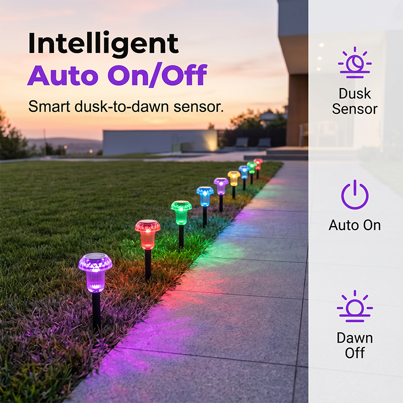 Solar Powered Garden Lights for Outdoor Pathways