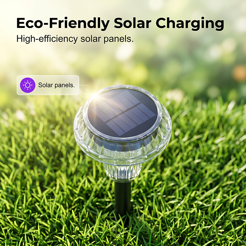 Solar Powered Garden Lights for Outdoor Pathways