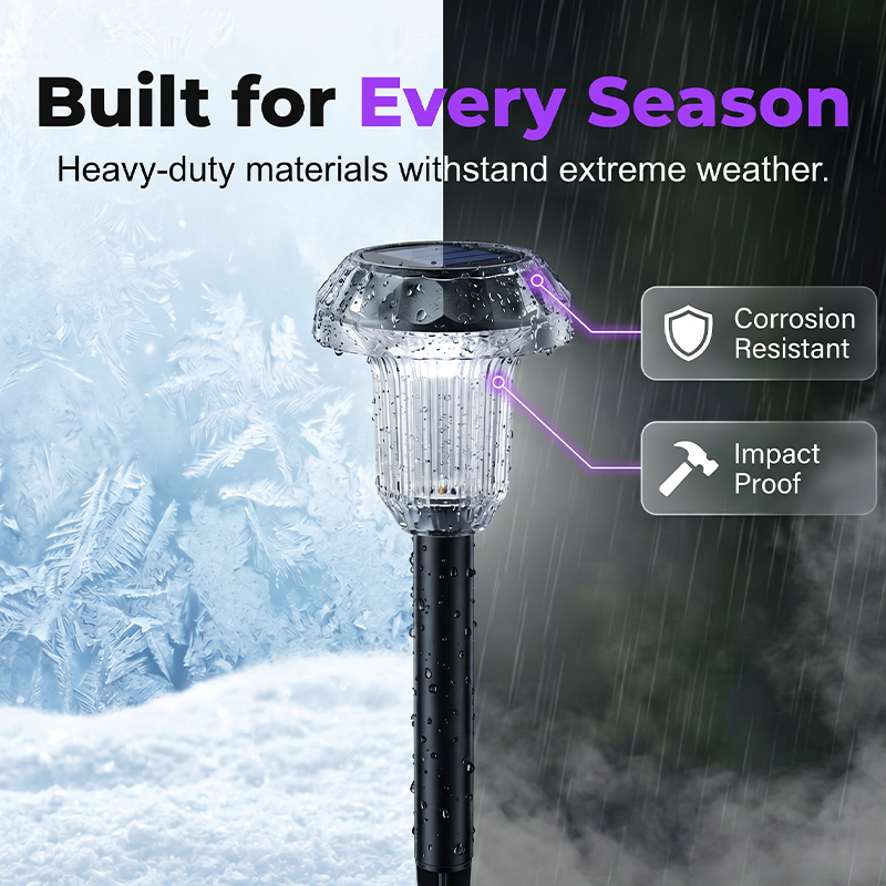 Solar Powered Garden Lights for Outdoor Pathways